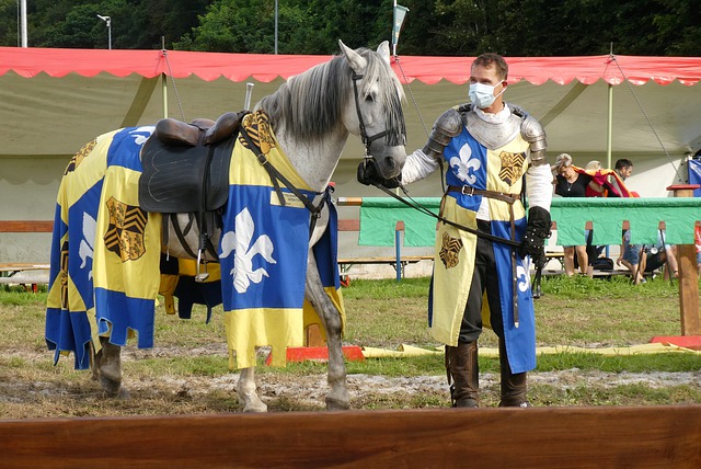 他不仅为纽 他不仅为纽