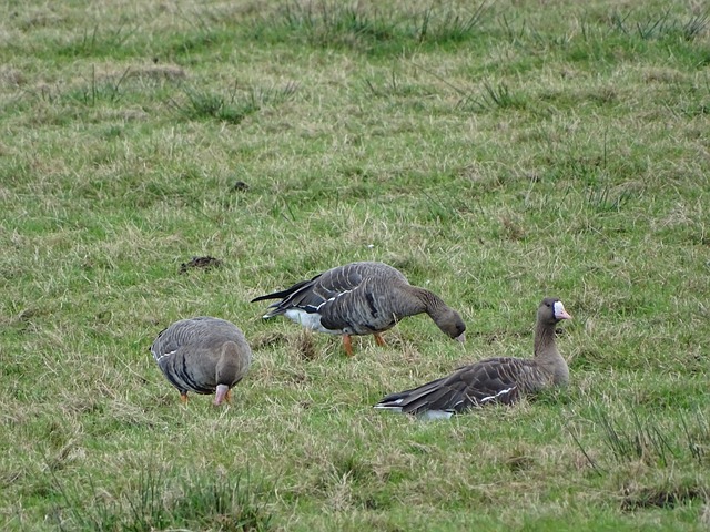 乐观态度 乐观态度