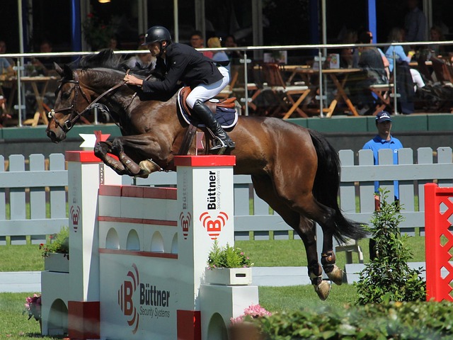 的大胜无疑 的大胜无疑