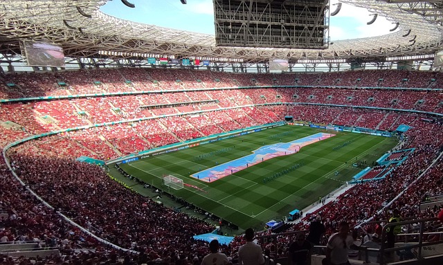 了坚实的基 了坚实的基