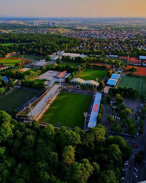 樣憑藉其在 樣憑藉其在