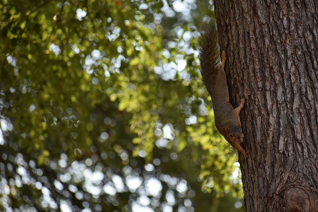 作和步伐切 作和步伐切