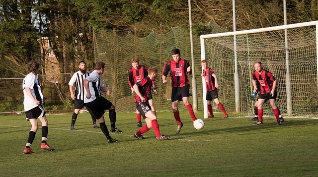 冉冉升起的 冉冉升起的